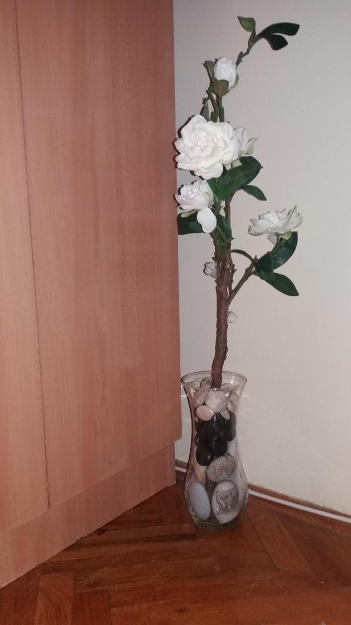 Sweet Home Center Apartment Novi Sad Buitenkant foto
